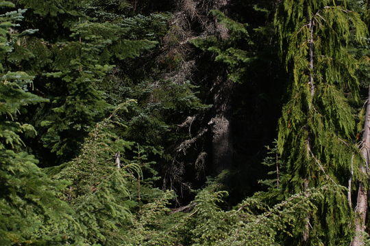 509.35974173.580x360