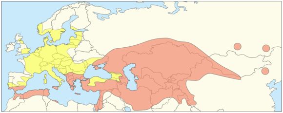 <span class="translation_missing" title="translation missing: en.medium.untitled.map_image_of, page_name: tulip">Map Image Of</span>