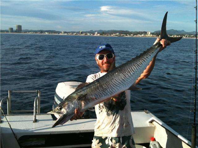 Image of Narrow-barred Spanish Mackerel