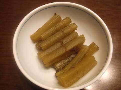 Image of Bog rhubarb