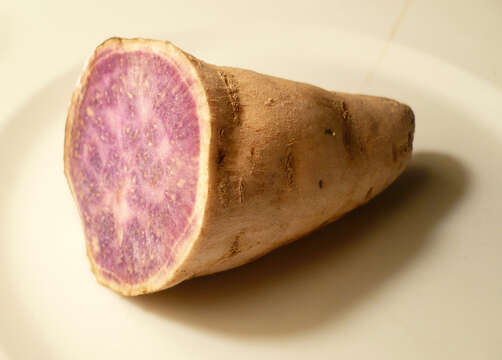 Image of water yam