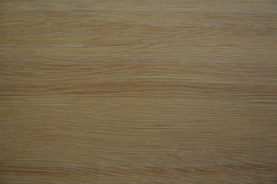 Image of gray ironbark