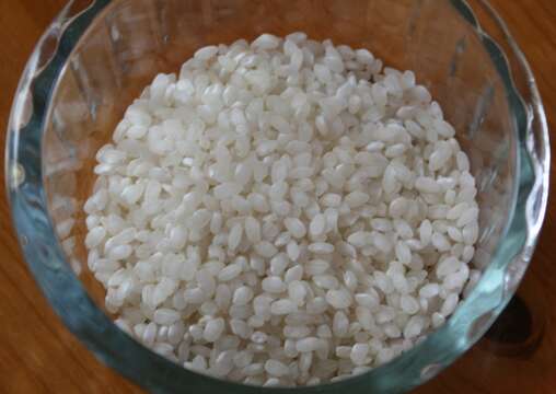 Image of rice