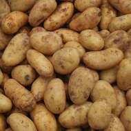 Image de patate