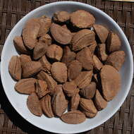 Image of brazilnut