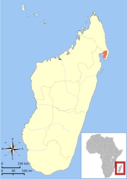 Map of Masoala Sportive Lemur