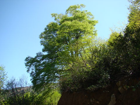 509.3918568.580x360