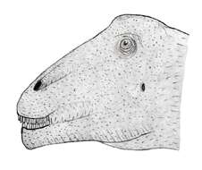 صورة تيتانوصوريات