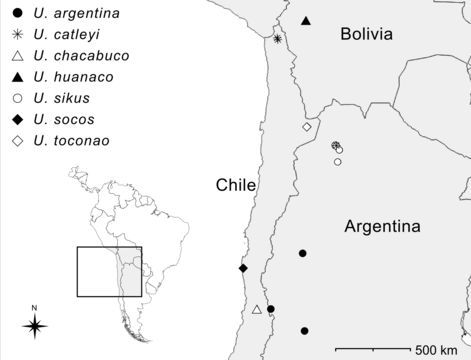 <span class="translation_missing" title="translation missing: en.medium.untitled.map_image_of, page_name: Unicorn">Map Image Of</span>