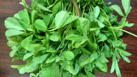 Image of sicklefruit fenugreek