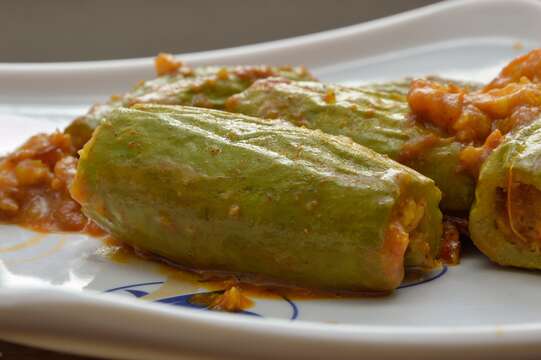 Image of pointed gourd