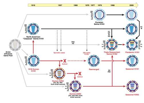 Plancia ëd Influenza A virus