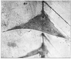 Image of Barn Funnel Weaver