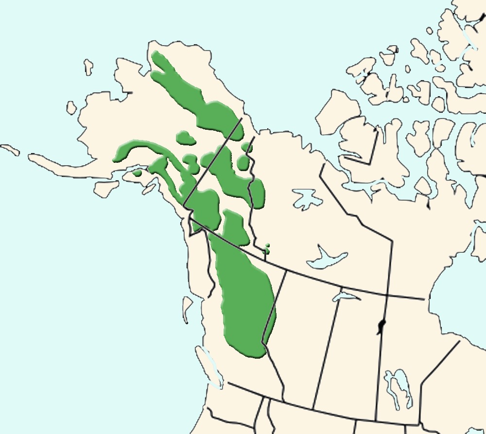 <span class="translation_missing" title="translation missing: en.medium.untitled.map_image_of, page_name: Dall&#39;s Sheep">Map Image Of</span>