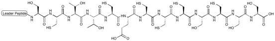 Image of Streptomycetales