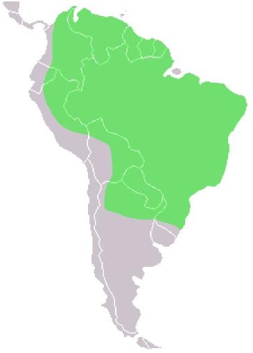 <span class="translation_missing" title="translation missing: en.medium.untitled.map_image_of, page_name: Brazilian Tapir">Map Image Of</span>