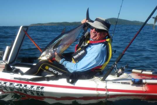 Image of Longtail Tuna