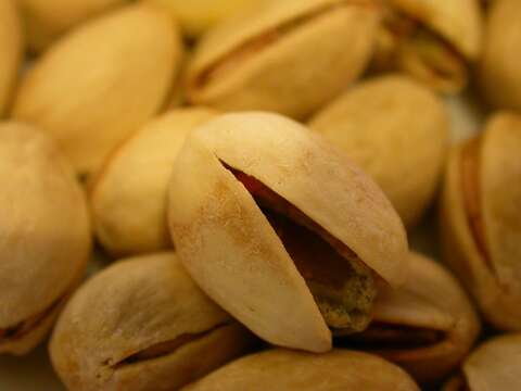 Image of pistachio nut