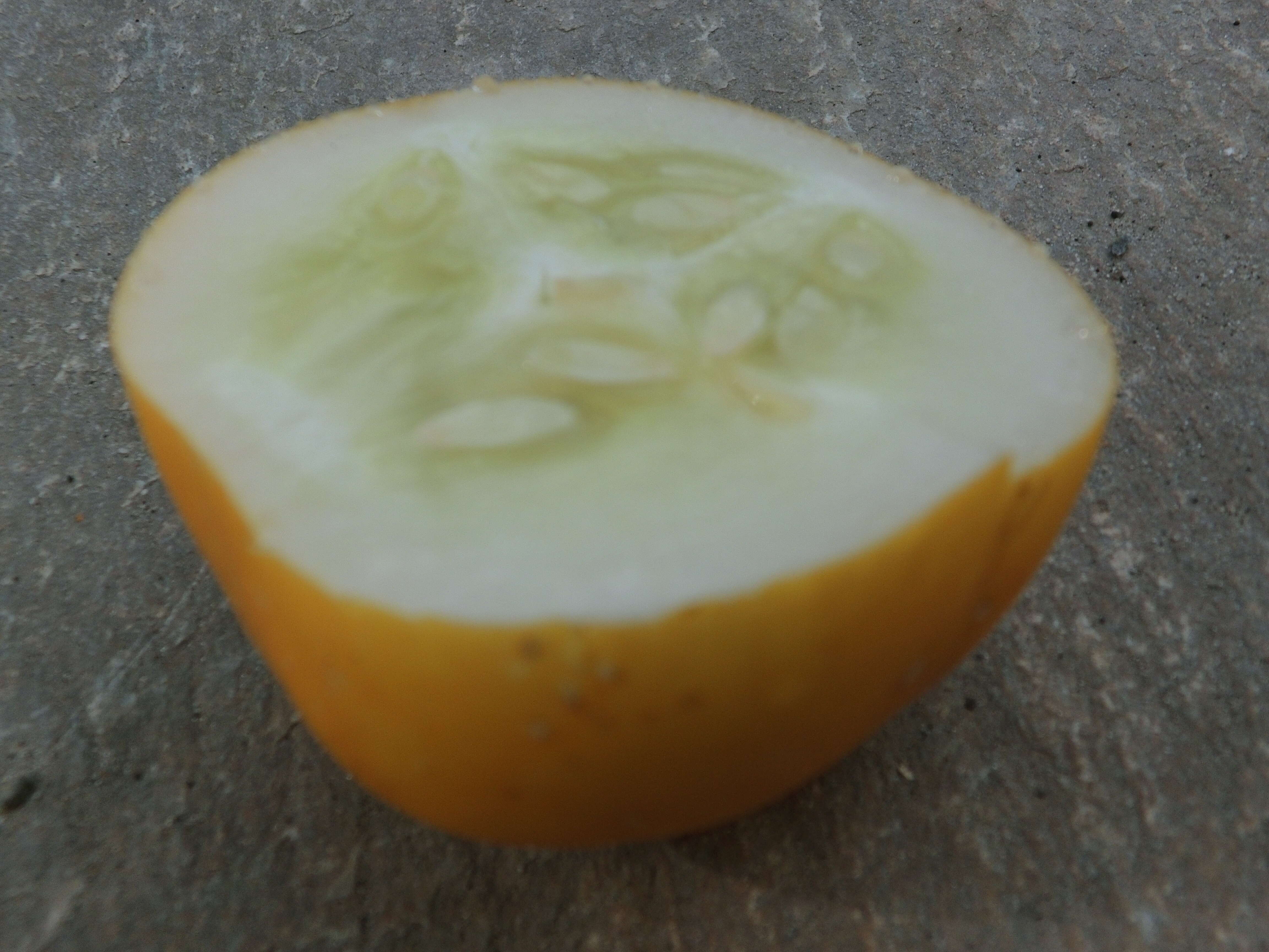 Image of garden cucumber