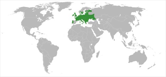 <span class="translation_missing" title="translation missing: en.medium.untitled.map_image_of, page_name: <i>Nymphaea candida</i> C. Presl">Map Image Of</span>