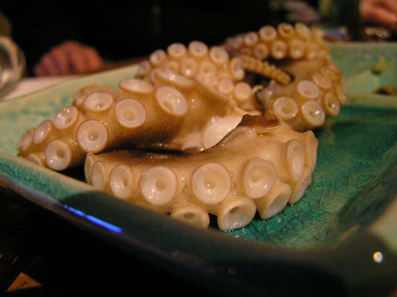 Image of gold-spot octopus