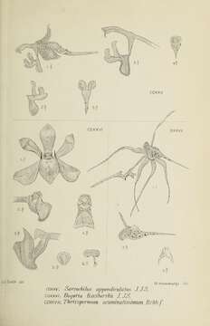 Image of Bogoria