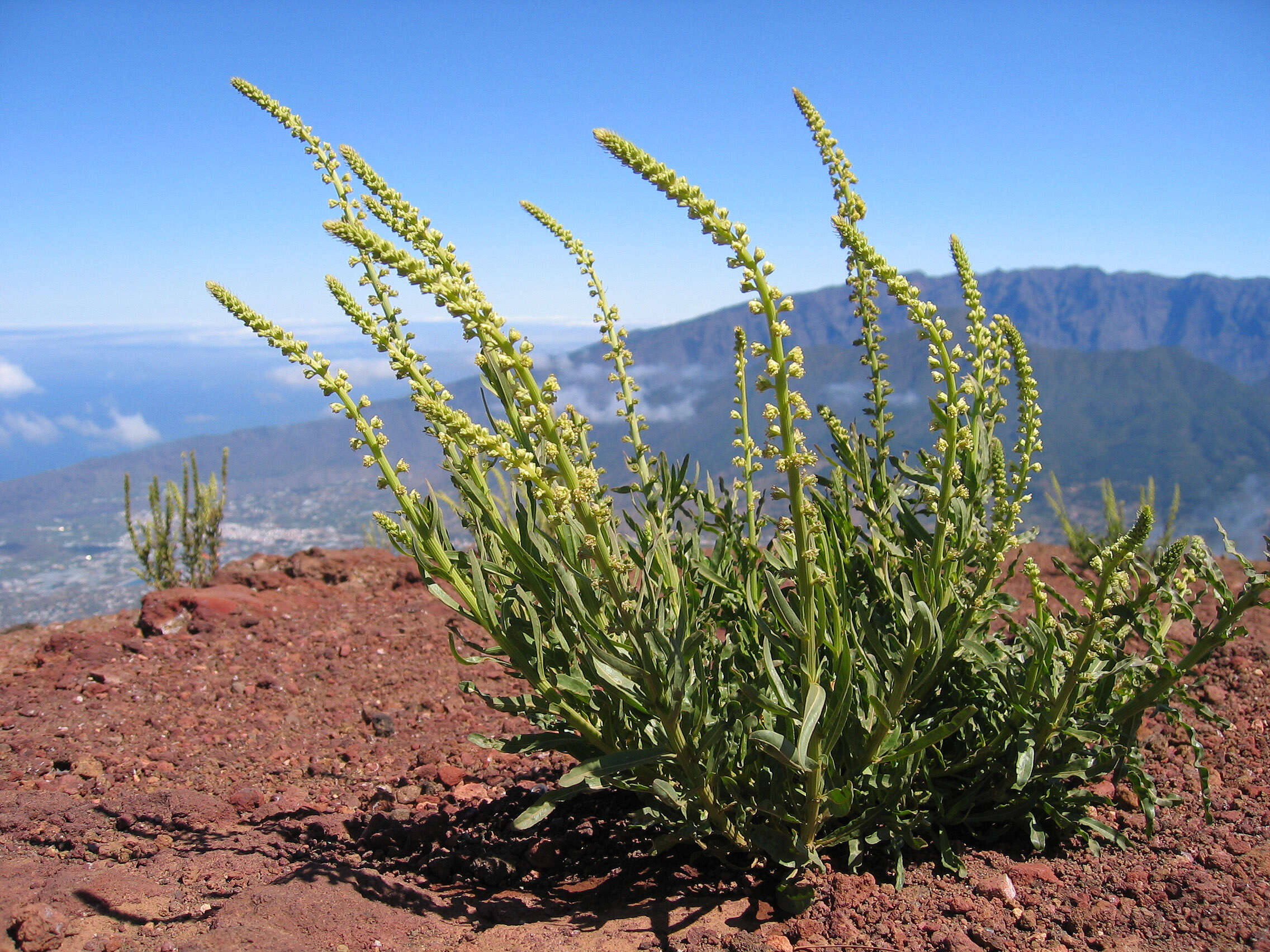 Image of weld