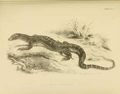 Image of Sand Monitor