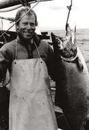 Image of Chinook Salmon