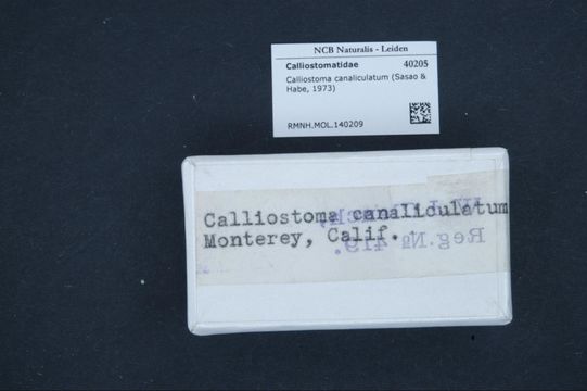 509.43012822.580x360