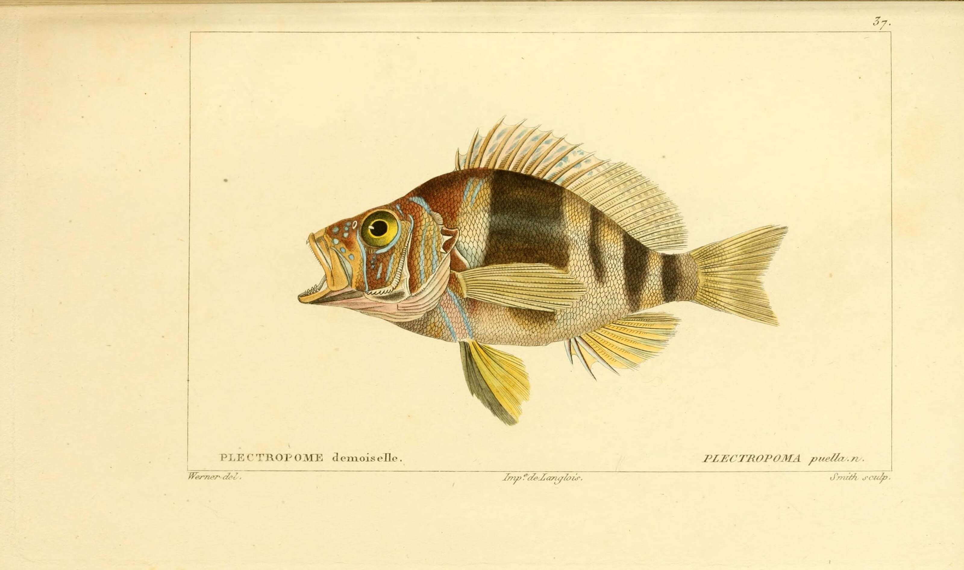 Image of Barred Hamlet