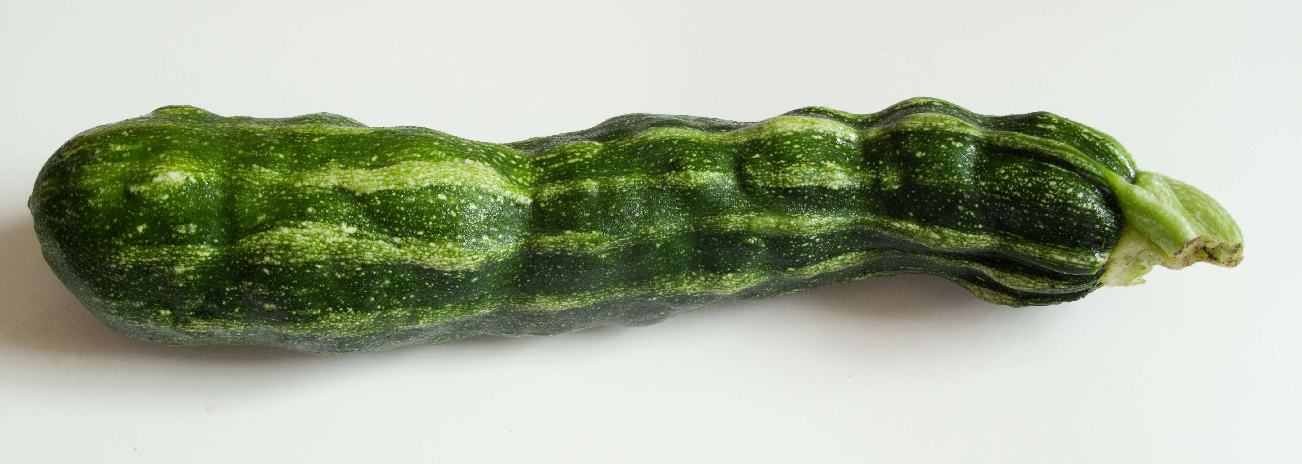 Image of Zucchini yellow mosaic virus