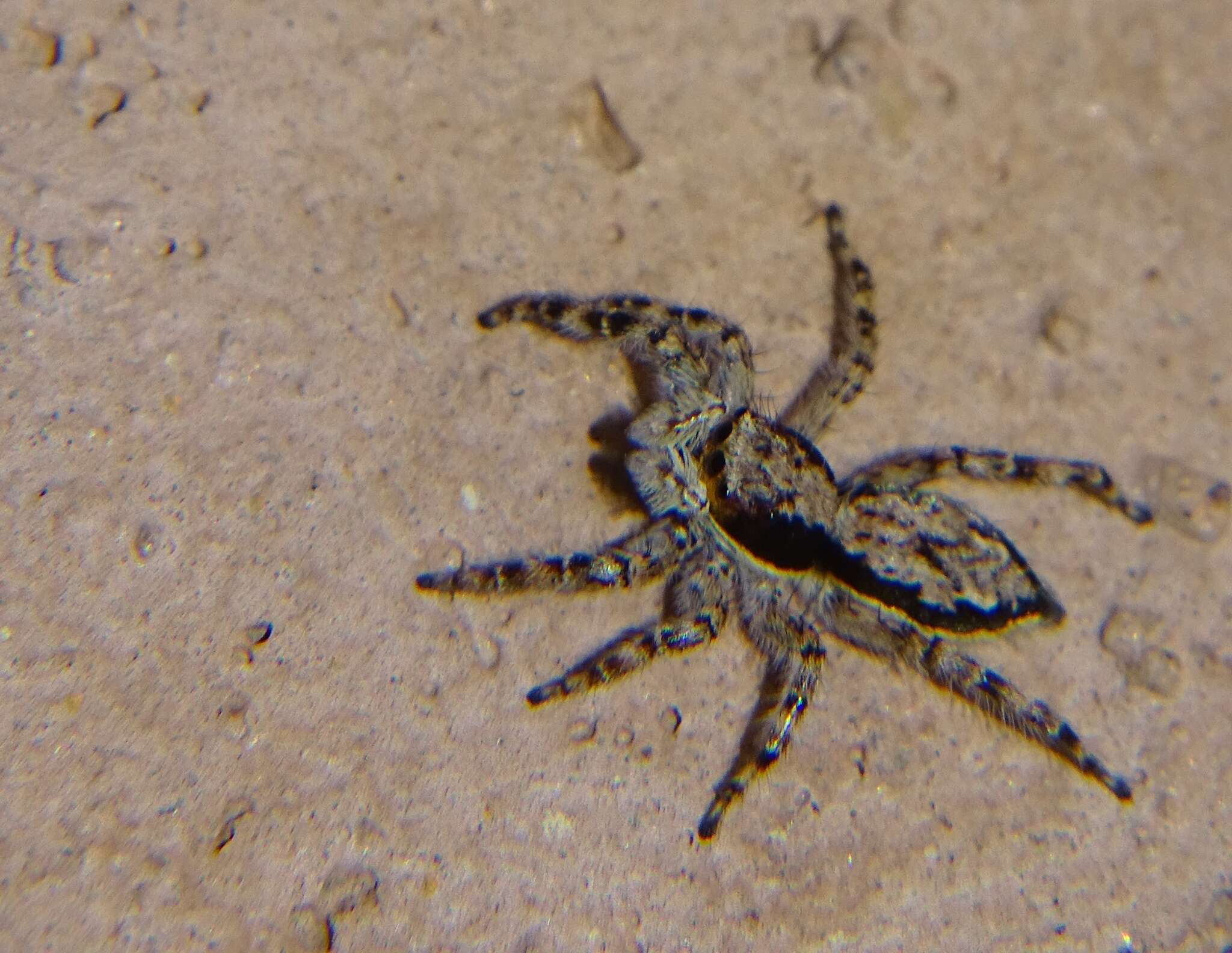 Image of Gray Wall Jumper