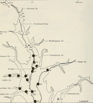 <span class="translation_missing" title="translation missing: en.medium.untitled.map_image_of, page_name: Cottus">Map Image Of</span>