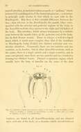 Image de Anodonta Lamarck 1799