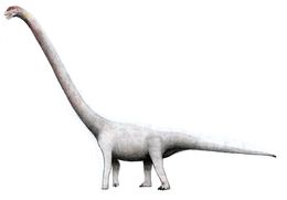 Image of Omeisaurus
