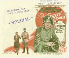 Image of Green Drakes