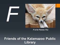 Image of Fennec Fox