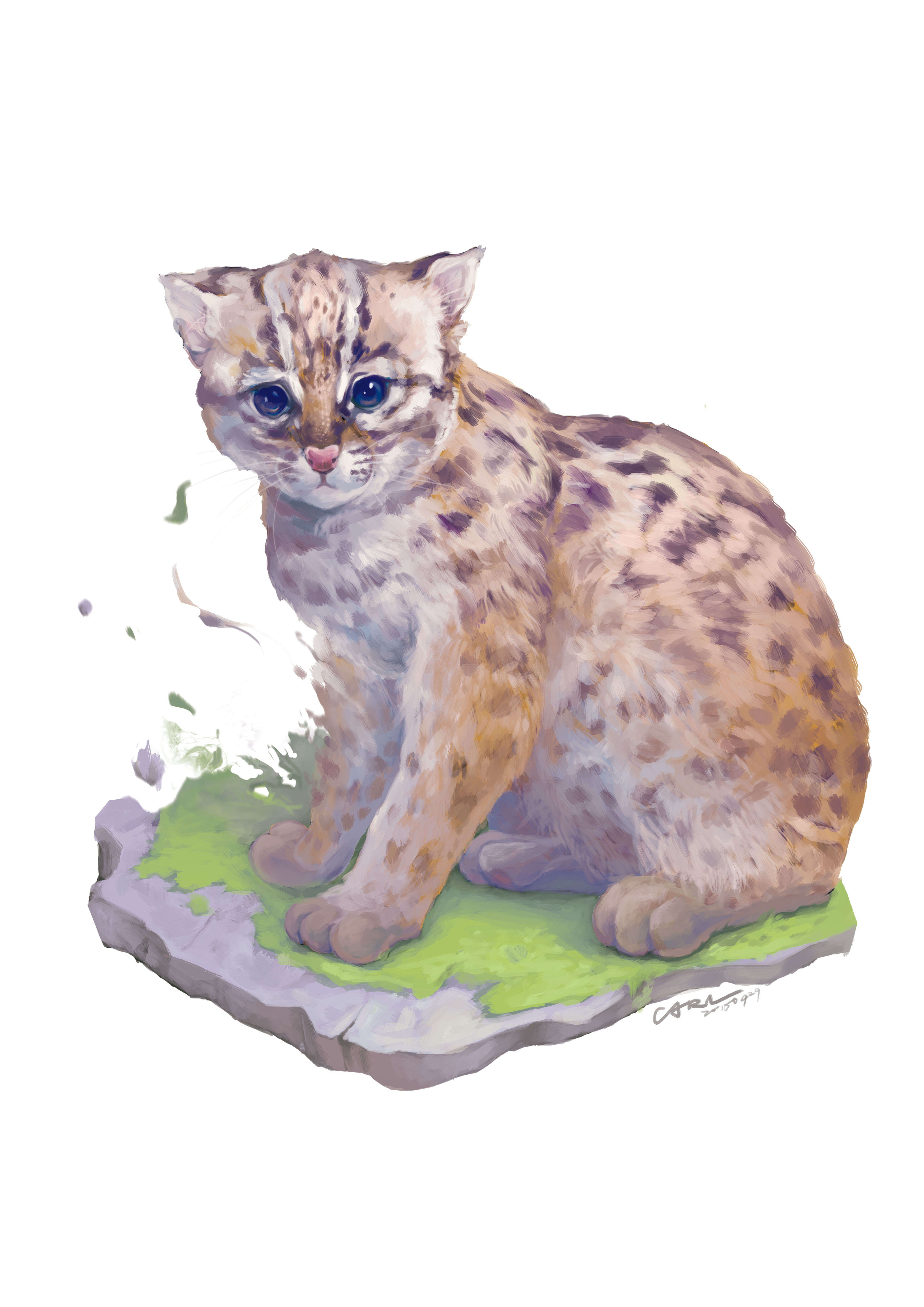 Image of Leopard Cat