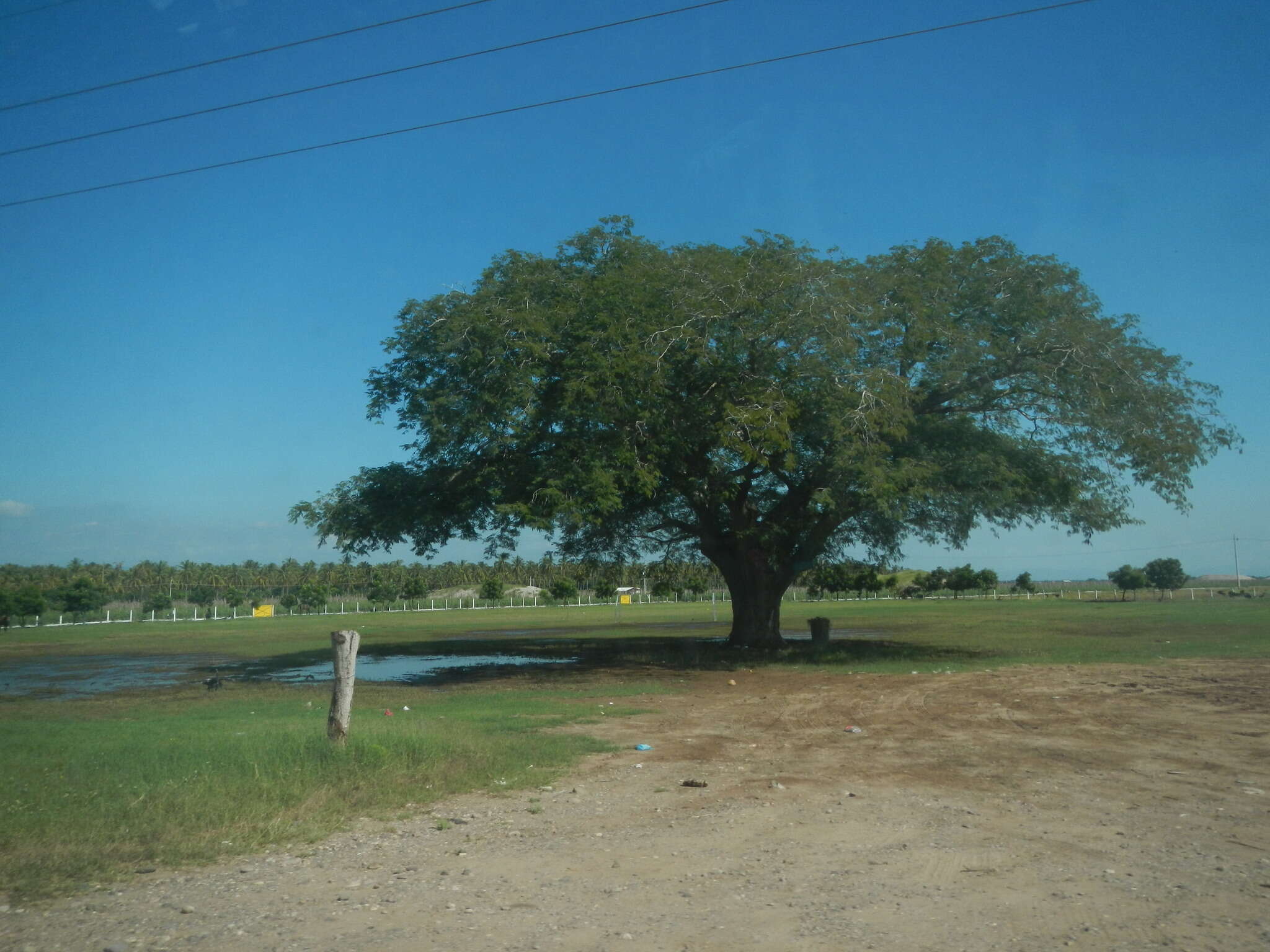 Image de Guanacaste