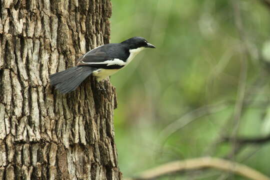 Image of Gabon Boubou