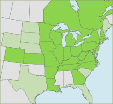 <span class="translation_missing" title="translation missing: en.medium.untitled.map_image_of, page_name: Emerald ash borer">Map Image Of</span>