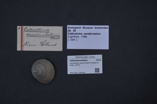 509.45827857.580x360