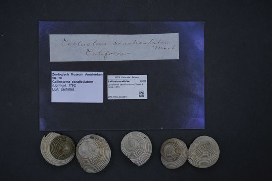 509.45827869.580x360