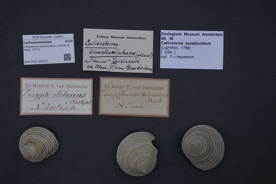509.45827871.580x360