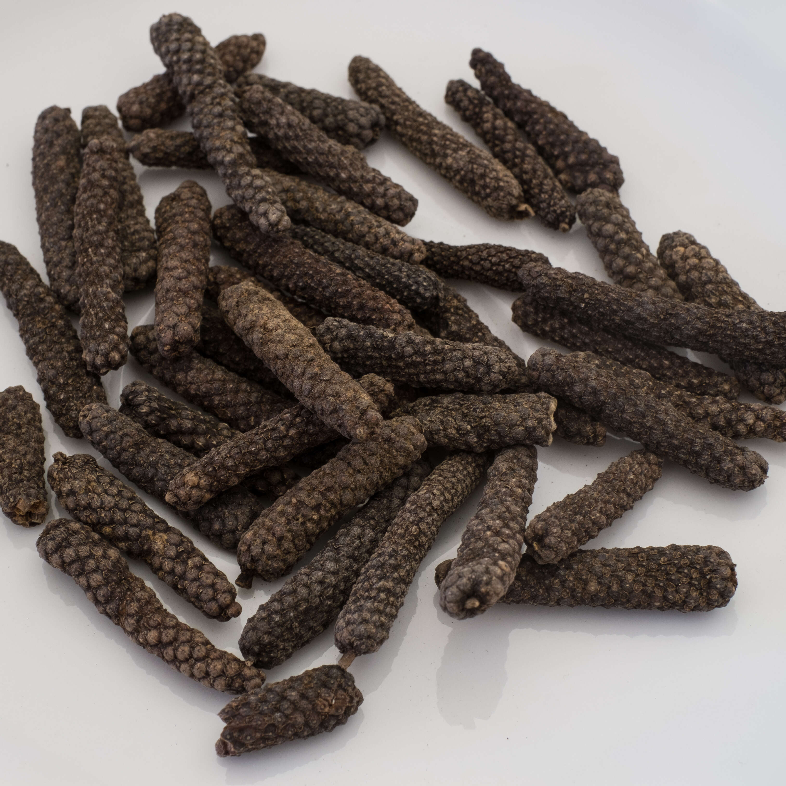 Image of Indian long pepper