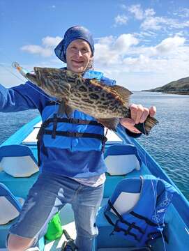 Image of Broom-tail Grouper