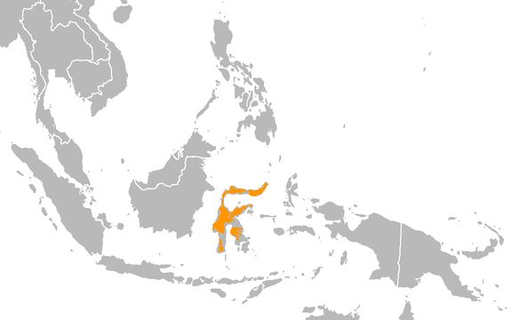 <span class="translation_missing" title="translation missing: en.medium.untitled.map_image_of, page_name: Sombre Pigeon">Map Image Of</span>