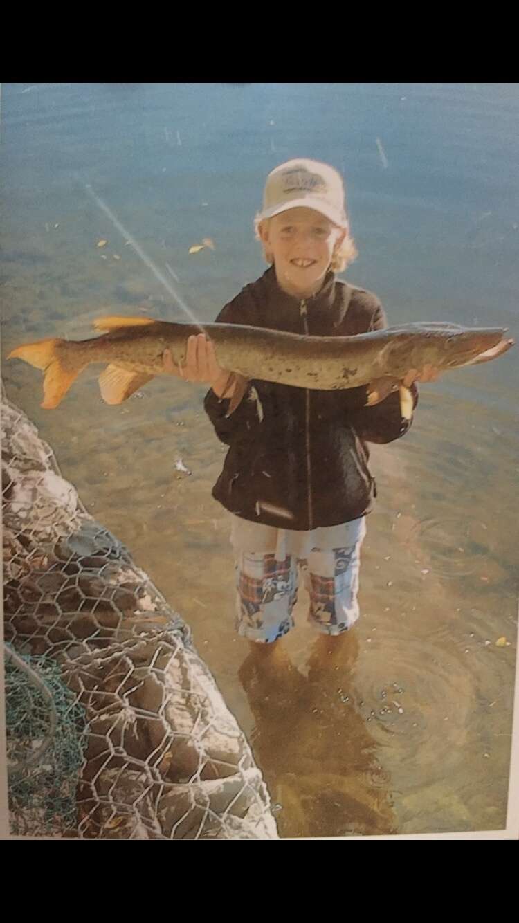 Image of Muskellunge