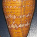 Image of Matchless Cone